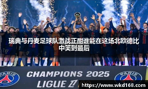 瑞典与丹麦足球队激战正酣谁能在这场北欧德比中笑到最后