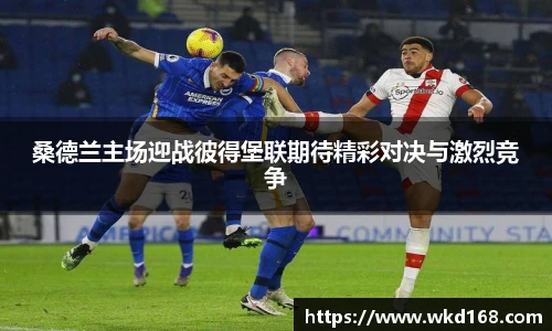 betway必威西汉姆联